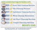 Carpet Cleaning Colony Lakes TX logo